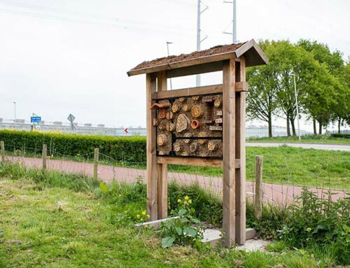 Maatwerk insectenhotel voor Weleda