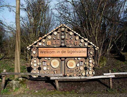 Verschillende insectenhotels voor Diergaarde Blijdorp