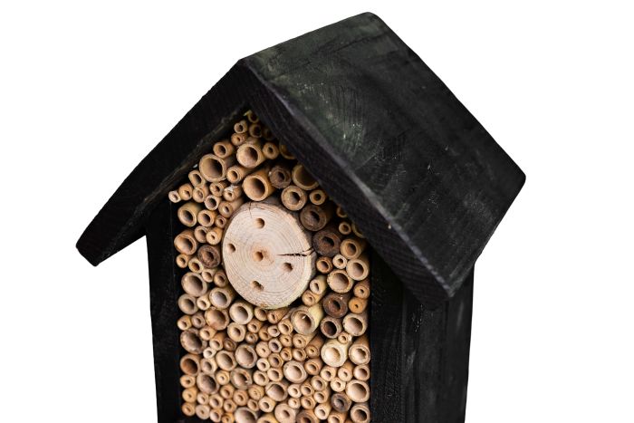 Insectenhotel 'De Houtmier' - Afbeelding 3