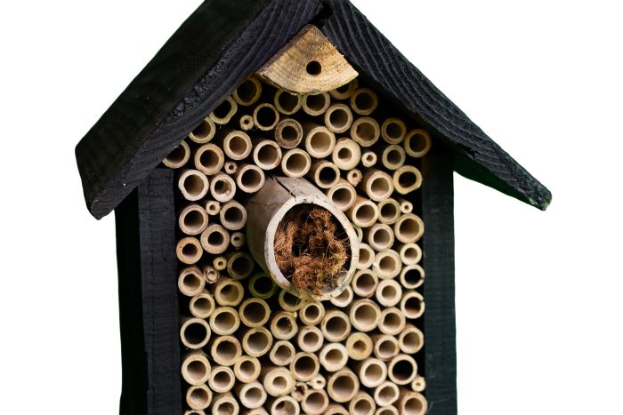 Insectenhotel 'De Meikever' - Afbeelding 3